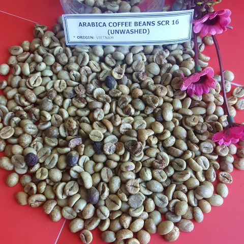 Hạt cà phê Arabica nguyên vỏ